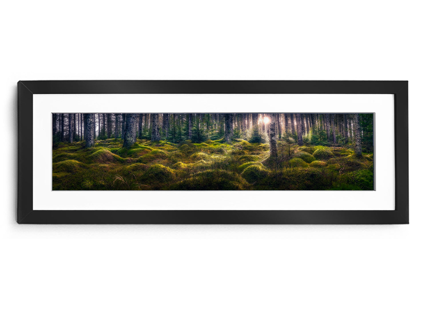 Behind the Lens: The Hidden Magic of Kielder Forest - "Enchanted"