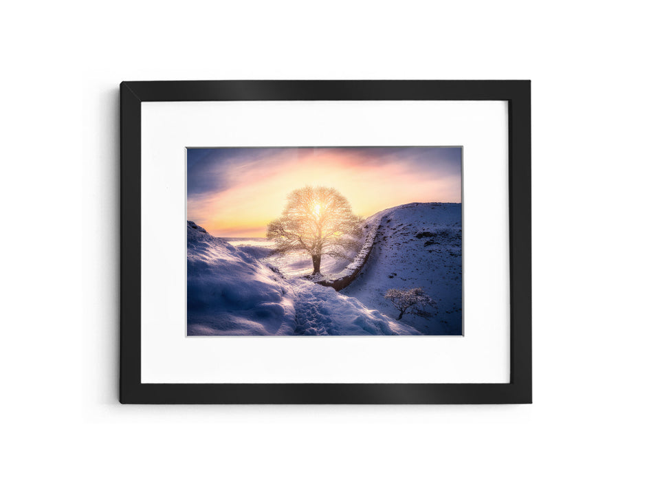 Behind the Lens: A Quiet Sunset at Sycamore Gap