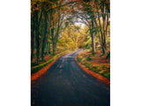 Coniston Water's "Journey"