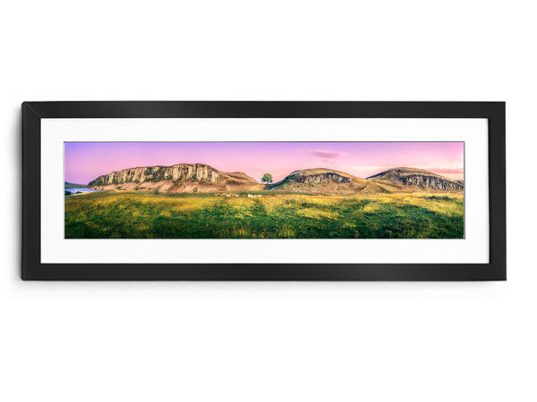 Sycamore gap "Bliss"