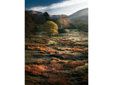 Lake District National Park - England