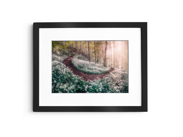 Garlic Horseshoe - England