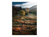 Lake District National Park - England