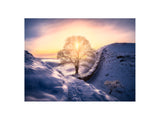 Sycamore Gap - England