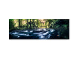 Causey Arch, Stanley - Panoramic Shot